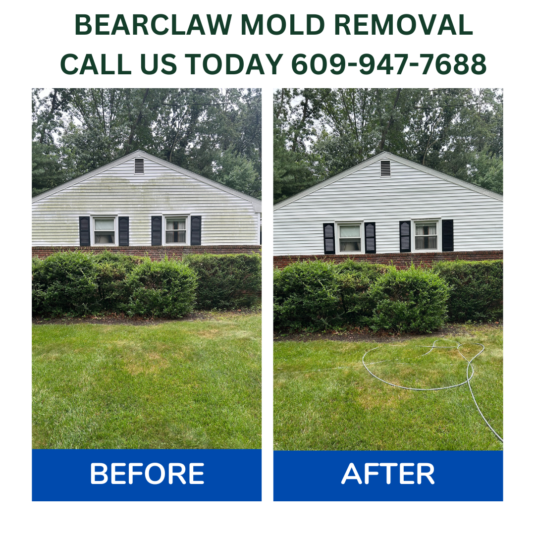 Mold Removal with Residential Power Washing: Ewing, Pennington, Hamilton, Princeton and Surrounding Areas